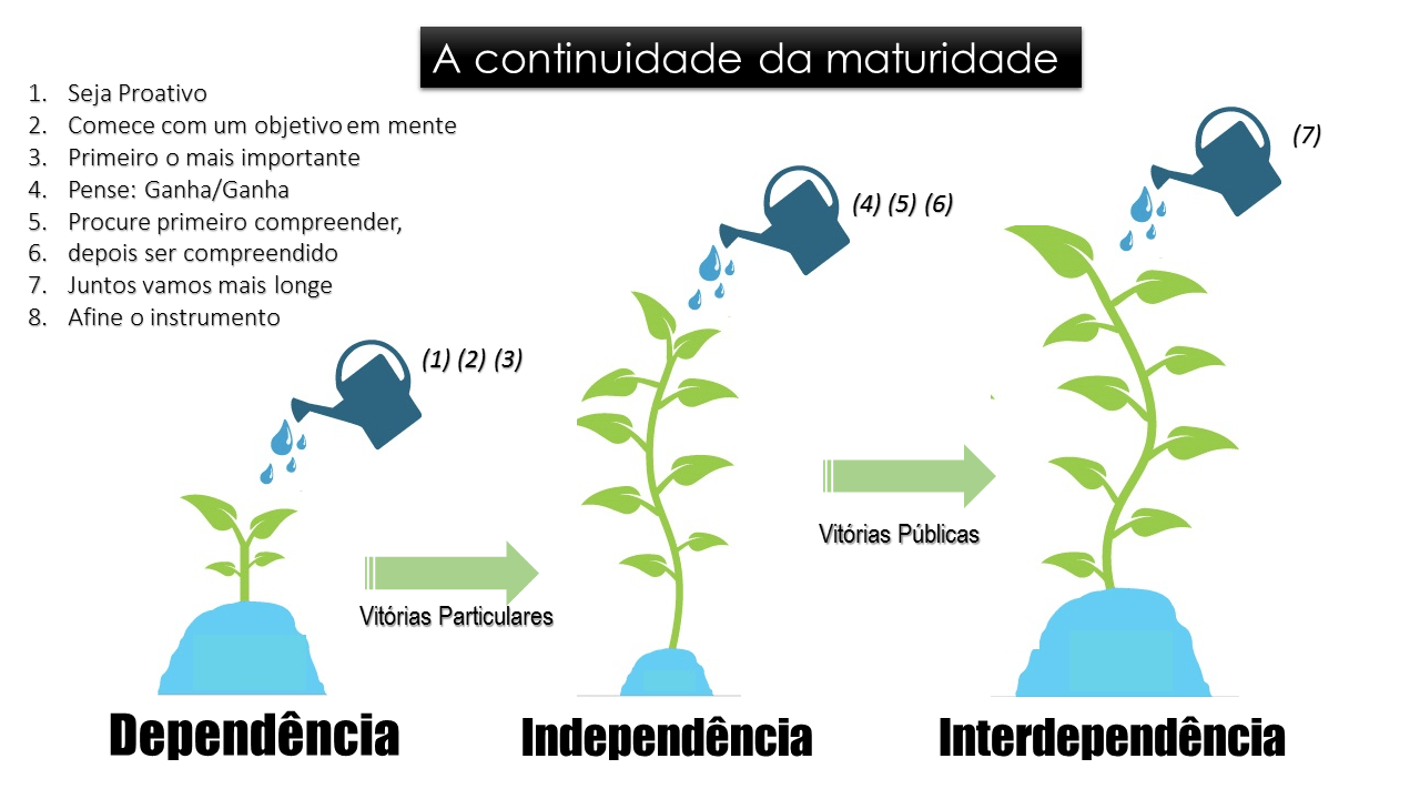 Continuidade da maturidade